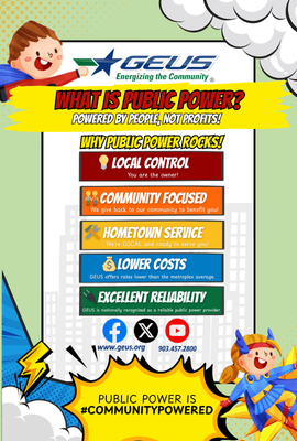 What is Public Power (270 x 400 px)
